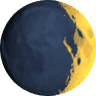 Corvus